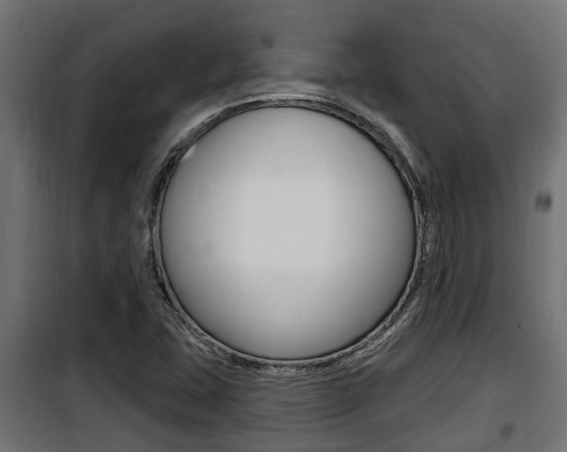 X0000100781407200806191005