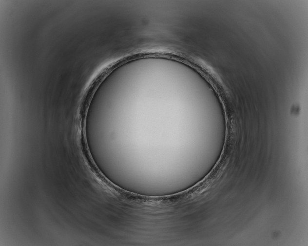 X0000100781408200806191005