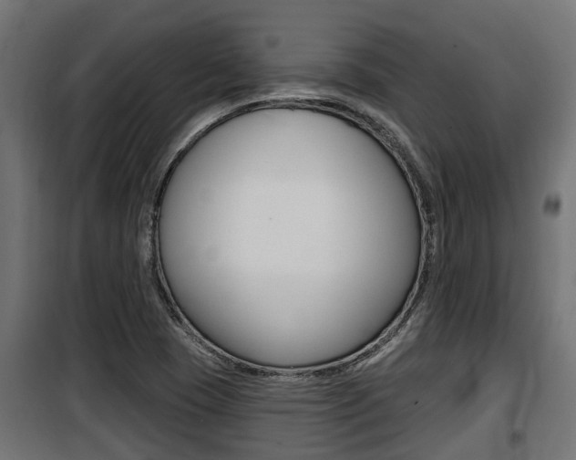 X0000100781409200806191005