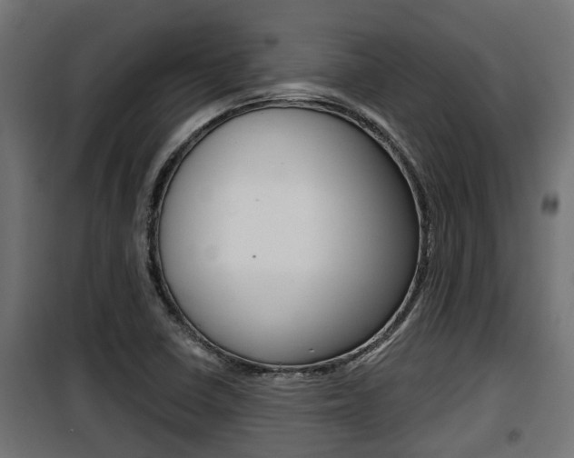 X0000100781410200806191005