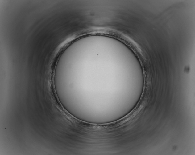 X0000100781411200806191005