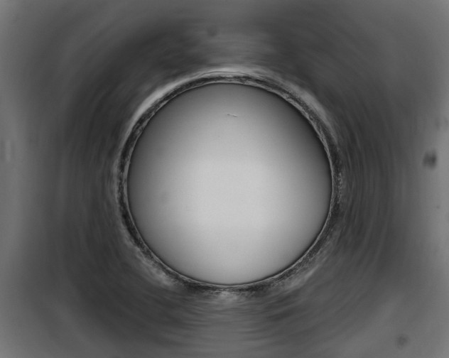 X0000100781412200806191006