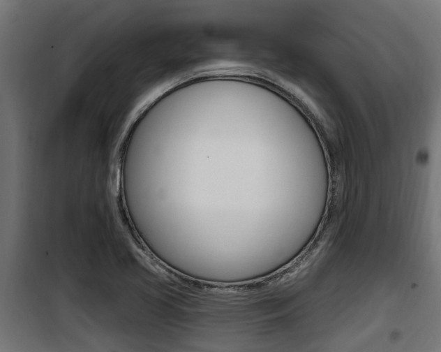 X0000100781413200806191006