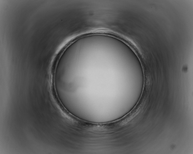 X0000100781414200806191006