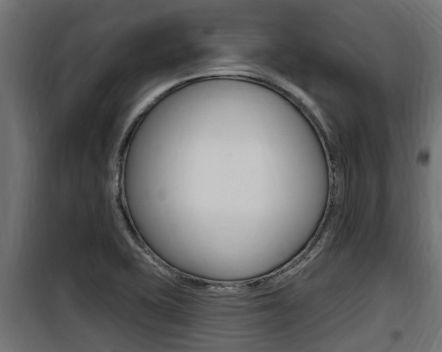 X0000100781415200806191006