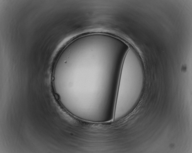 X0000100781416200806191006