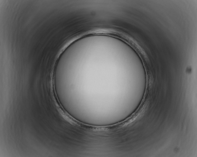 X0000100781417200806191006