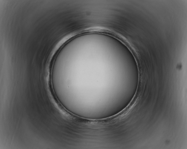 X0000100781418200806191006