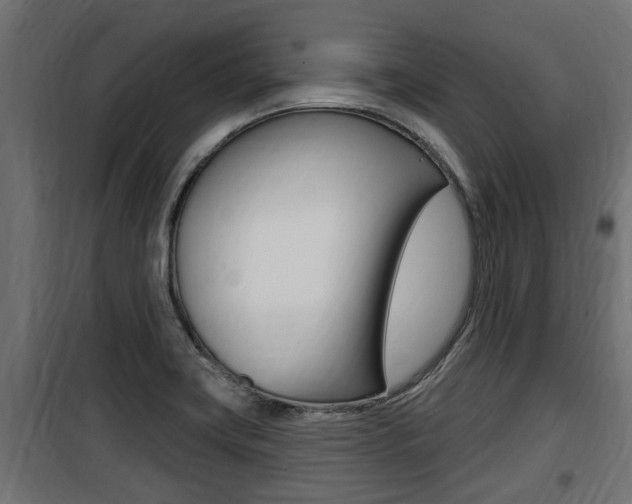 X0000100781419200806191006