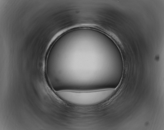 X0000100781420200806191006