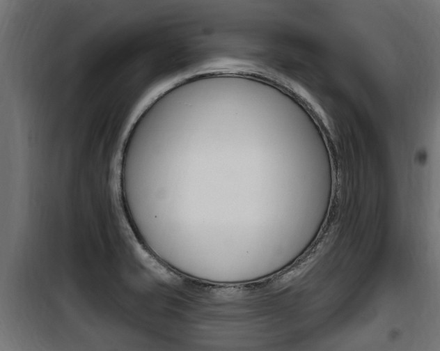 X0000100781421200806191006
