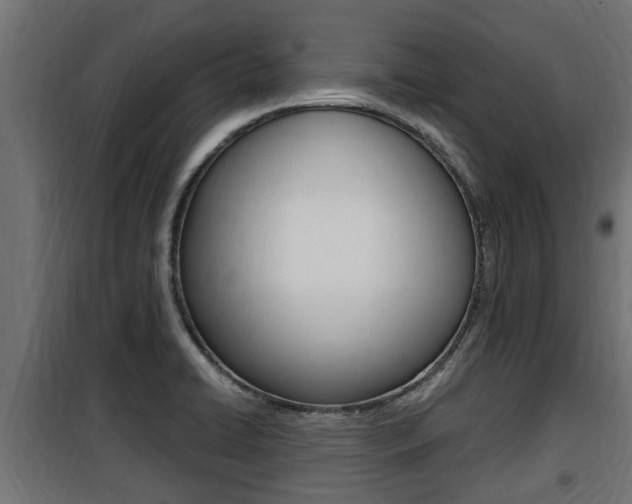 X0000100781422200806191006