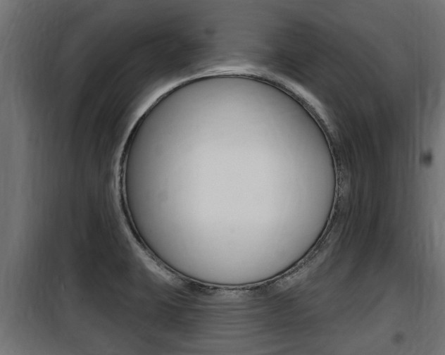 X0000100781423200806191006