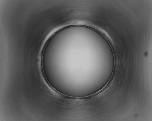 X0000100781424200806191006