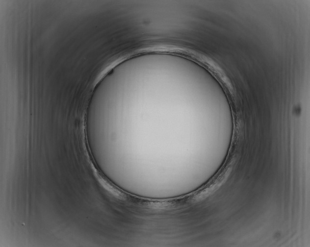 X0000100781425200806191006