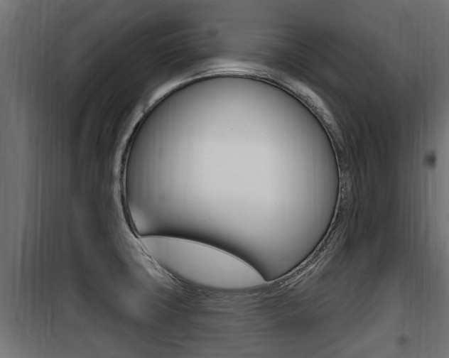 X0000100781427200806191006
