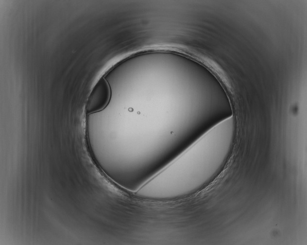 X0000100781428200806191006