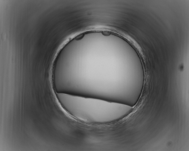 X0000100781429200806191006