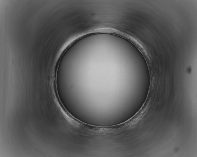 X0000100781430200806191006