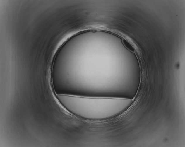 X0000100781432200806191006