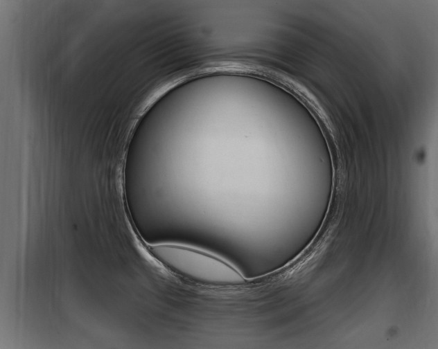 X0000100781433200806191006