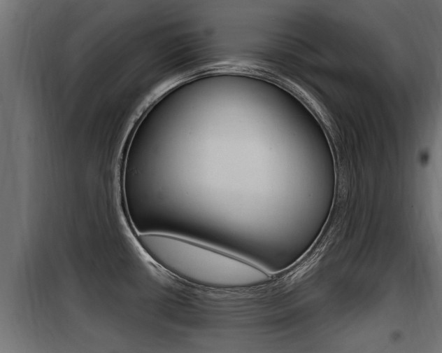X0000100781434200806191006