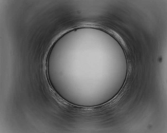 X0000100781435200806191006