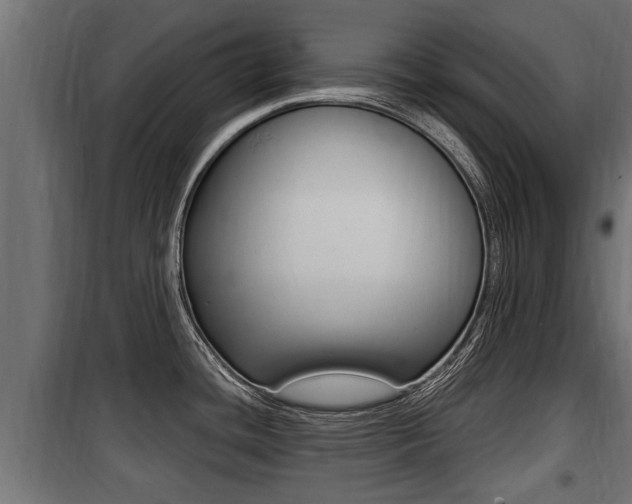 X0000100781436200806191006