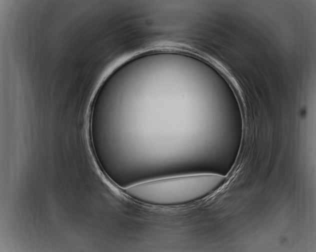 X0000100781437200806191006