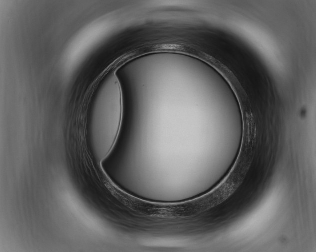 X0000100781438200806191006