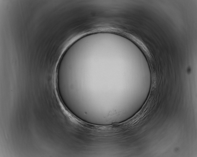 X0000100781439200806191006