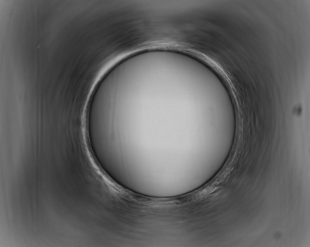 X0000100781440200806191006