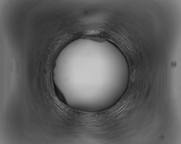 X0000100781441200806191005