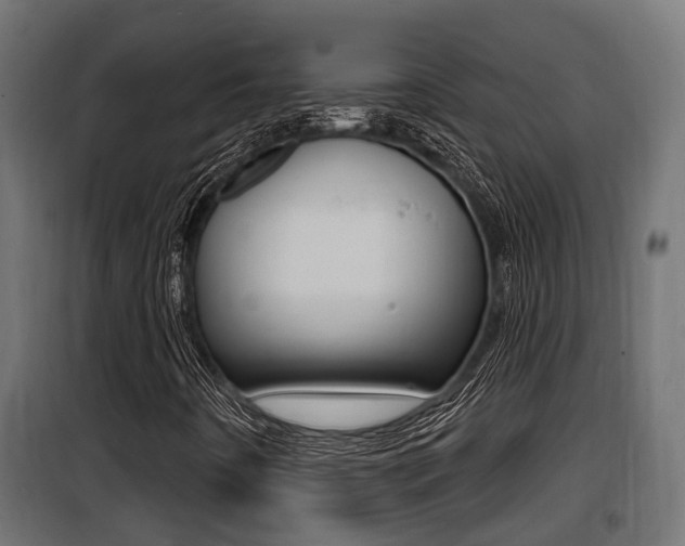 X0000100781442200806191005