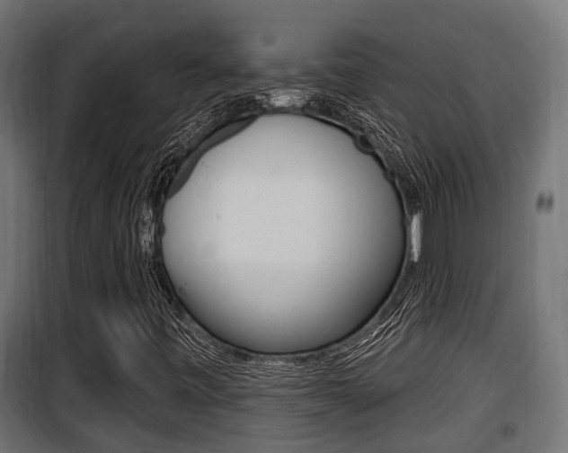 X0000100781443200806191005