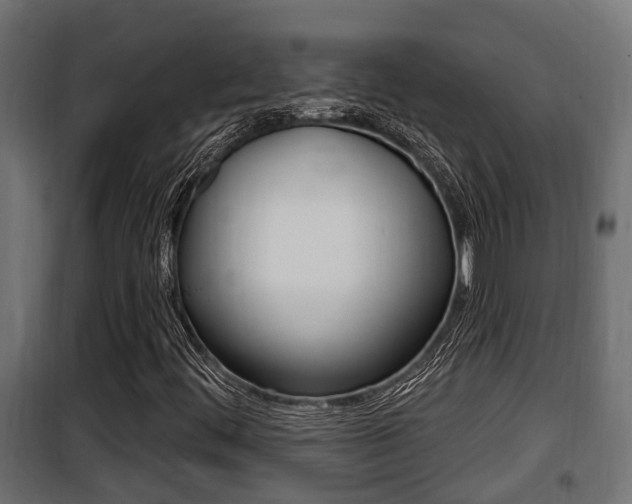 X0000100781444200806191005