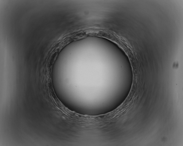 X0000100781445200806191005