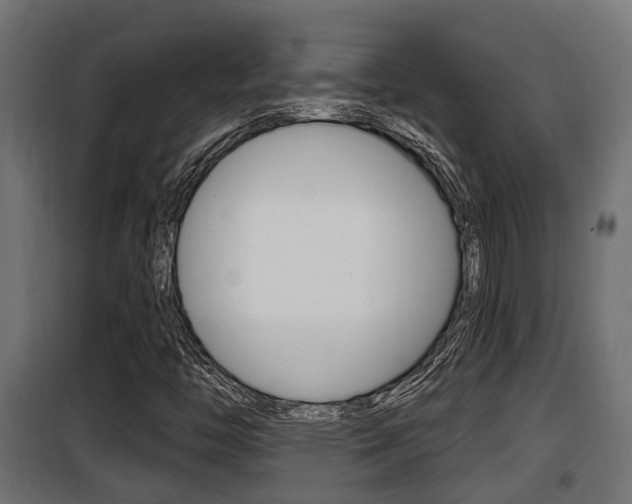 X0000100781446200806191005