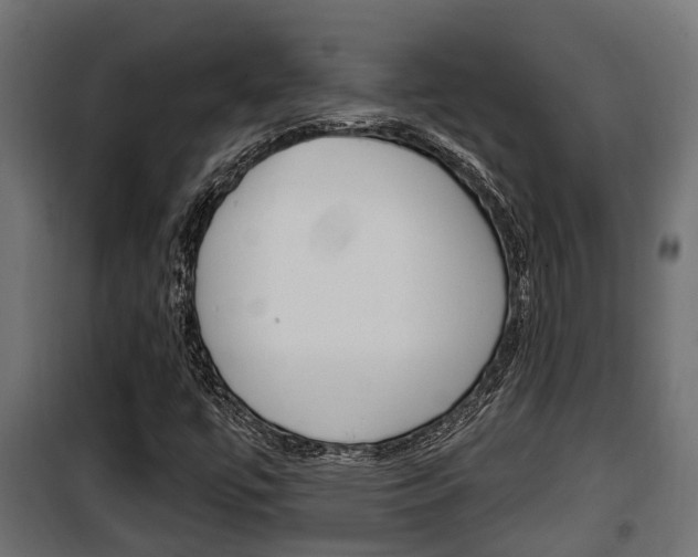 X0000100781447200806191005