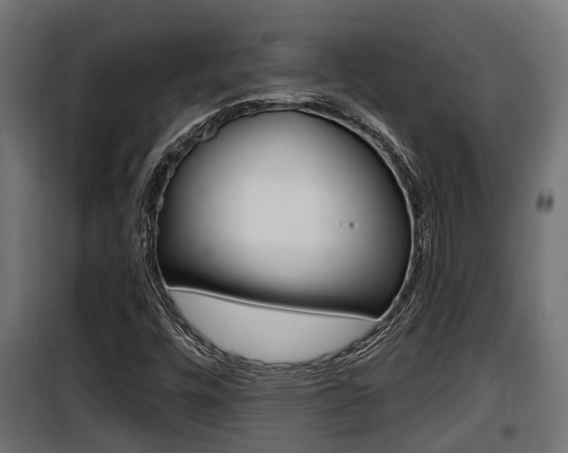X0000100781448200806191005