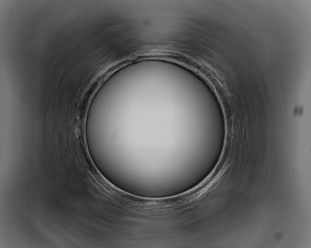 X0000100781449200806191005