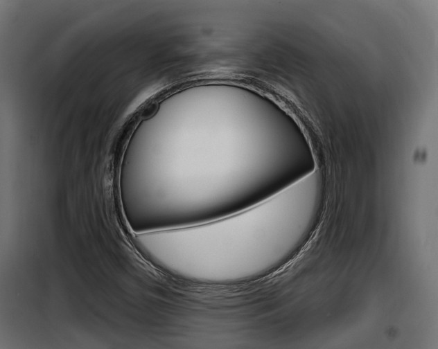 X0000100781450200806191005