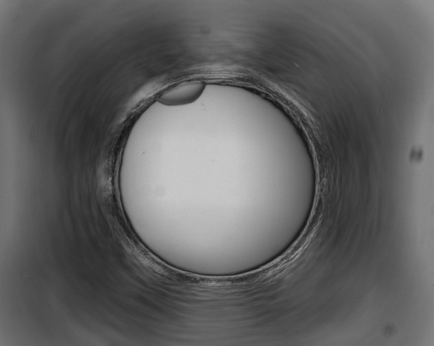 X0000100781451200806191005