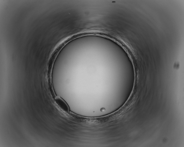 X0000100781452200806191005
