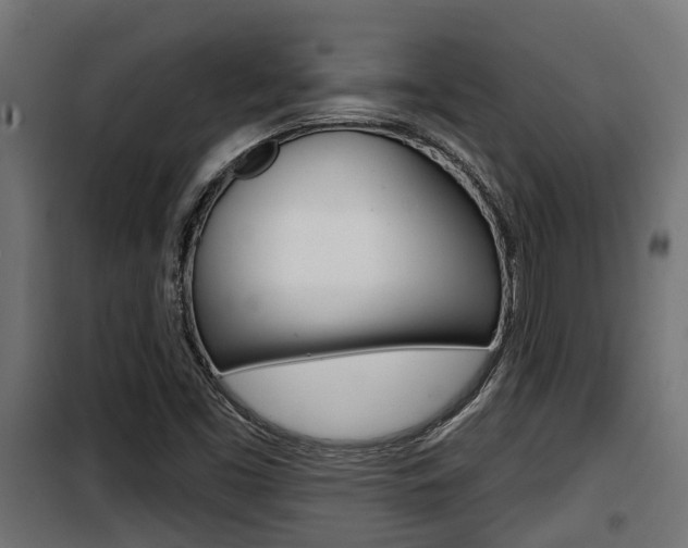 X0000100781453200806191005