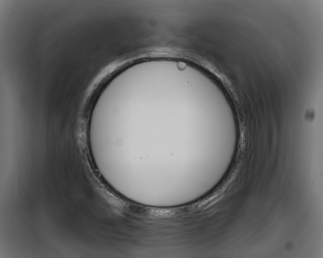 X0000100781454200806191005