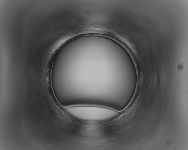 X0000100781455200806191005