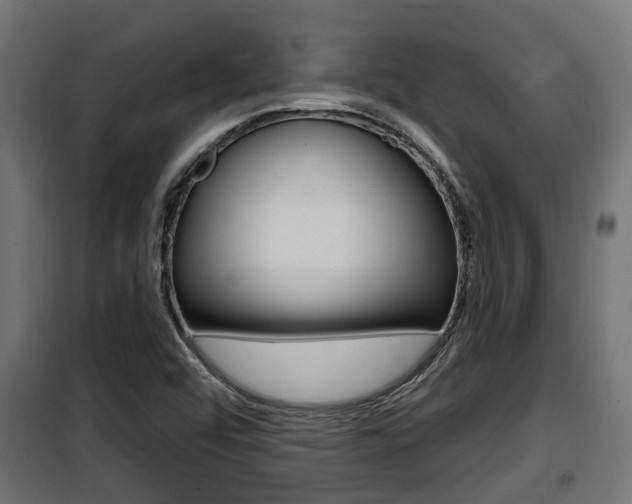 X0000100781456200806191005