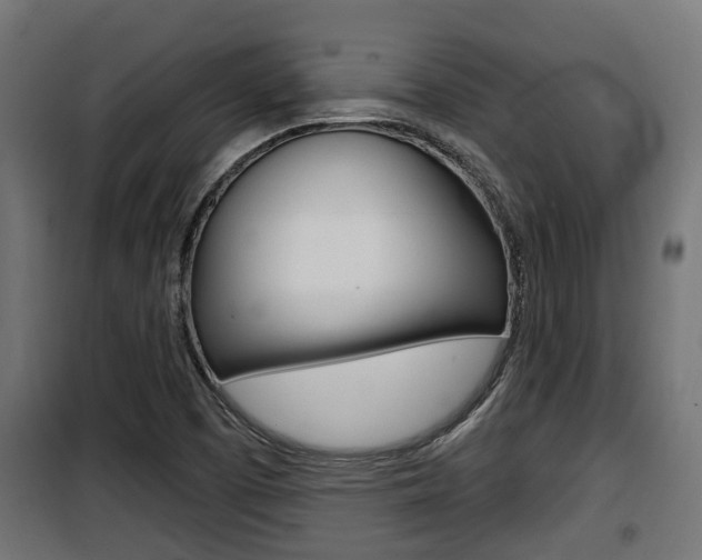 X0000100781457200806191005