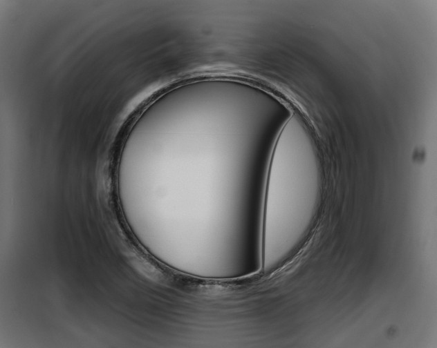 X0000100781458200806191005
